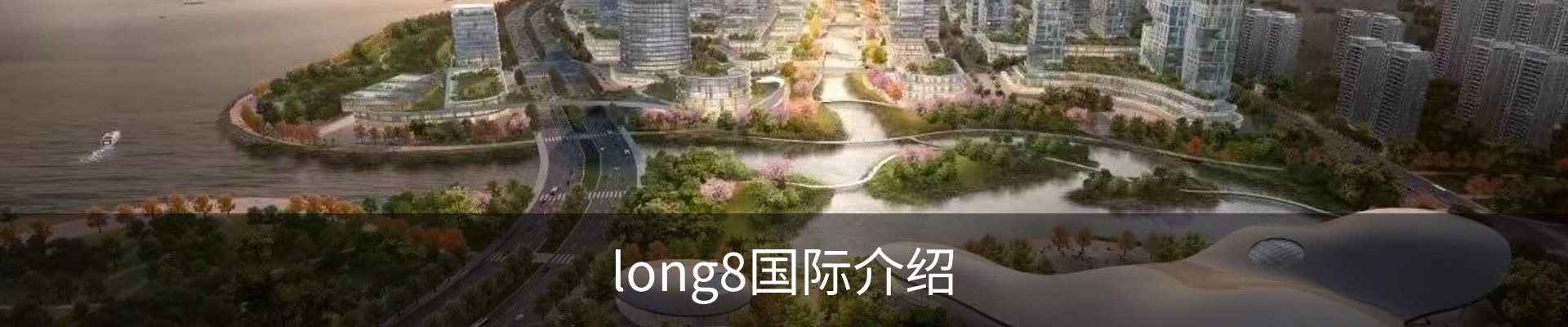 long8国际介绍